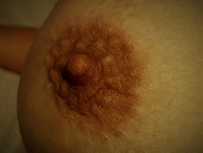 Грудь nipple