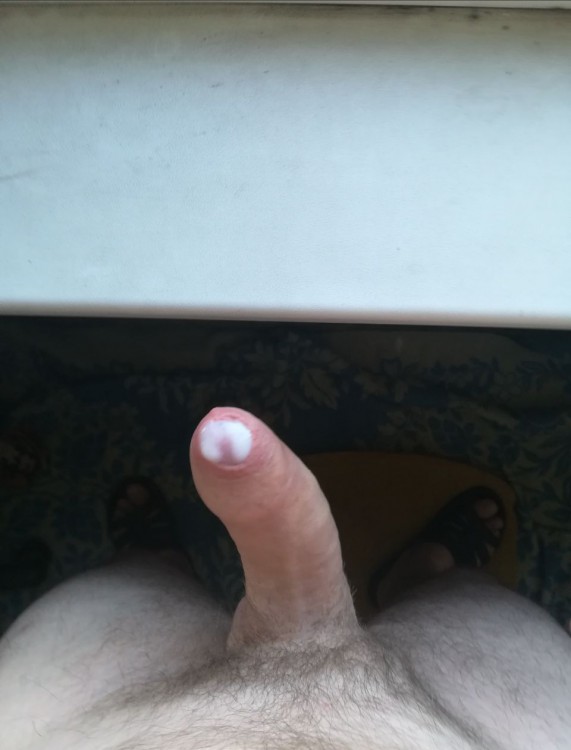 cock dick penis