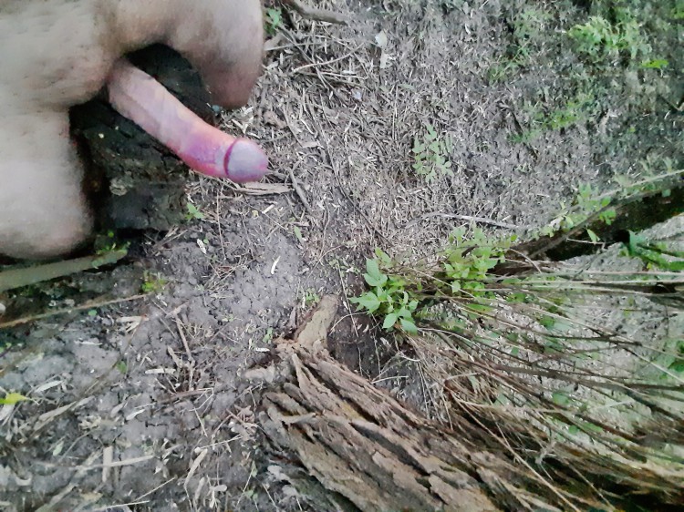 Тело cock dick cunt ass pussy sex naked personal big dickhead