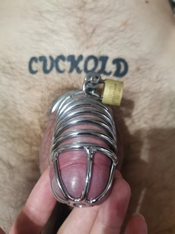 Тату cuckold dick