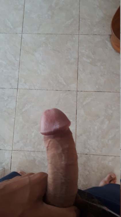 cock