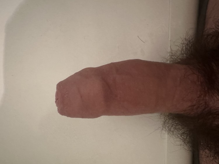 Член dick hard-on